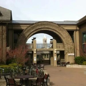 加州大学伯克利分校多学科学分交换项目Berkeley Global Access Program (BGA)